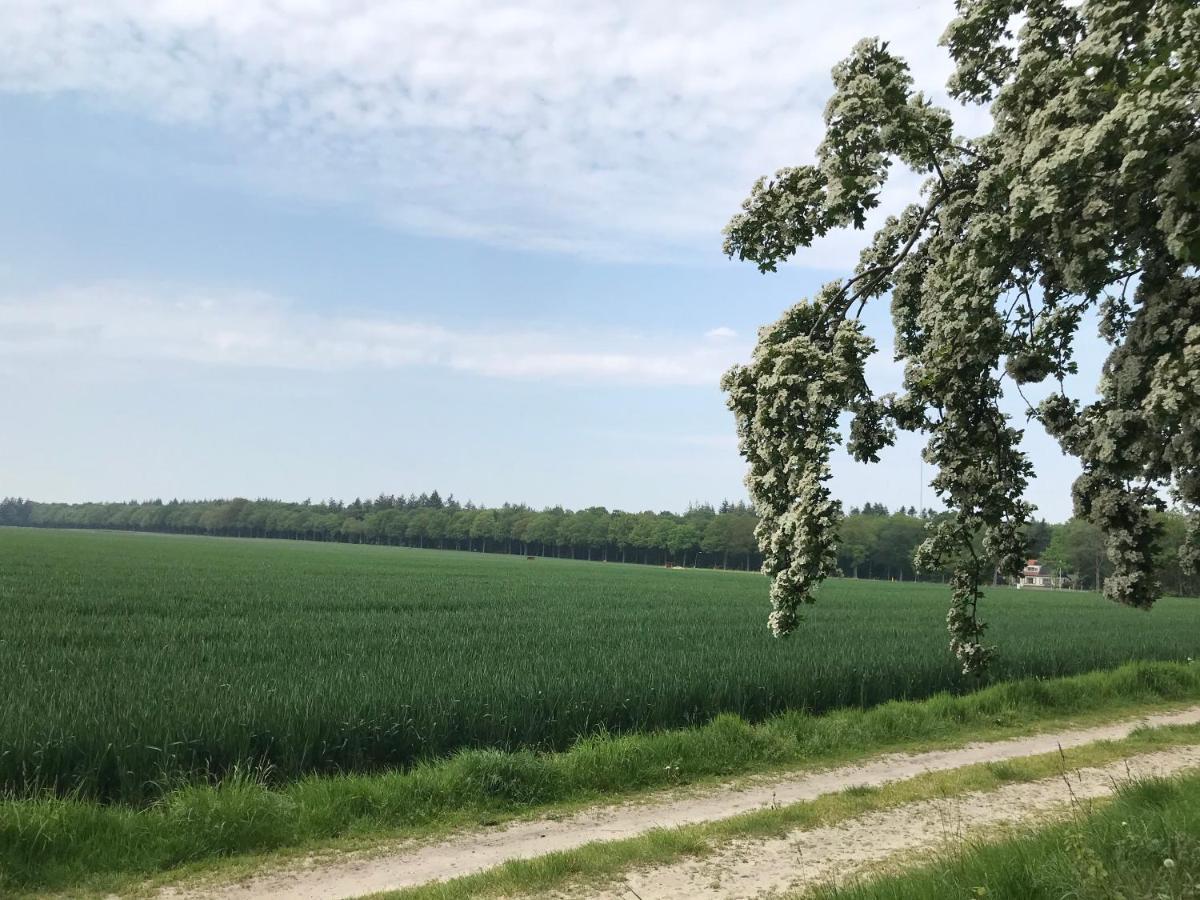 Het Uilennest Bed and Breakfast Exloo Eksteriør billede