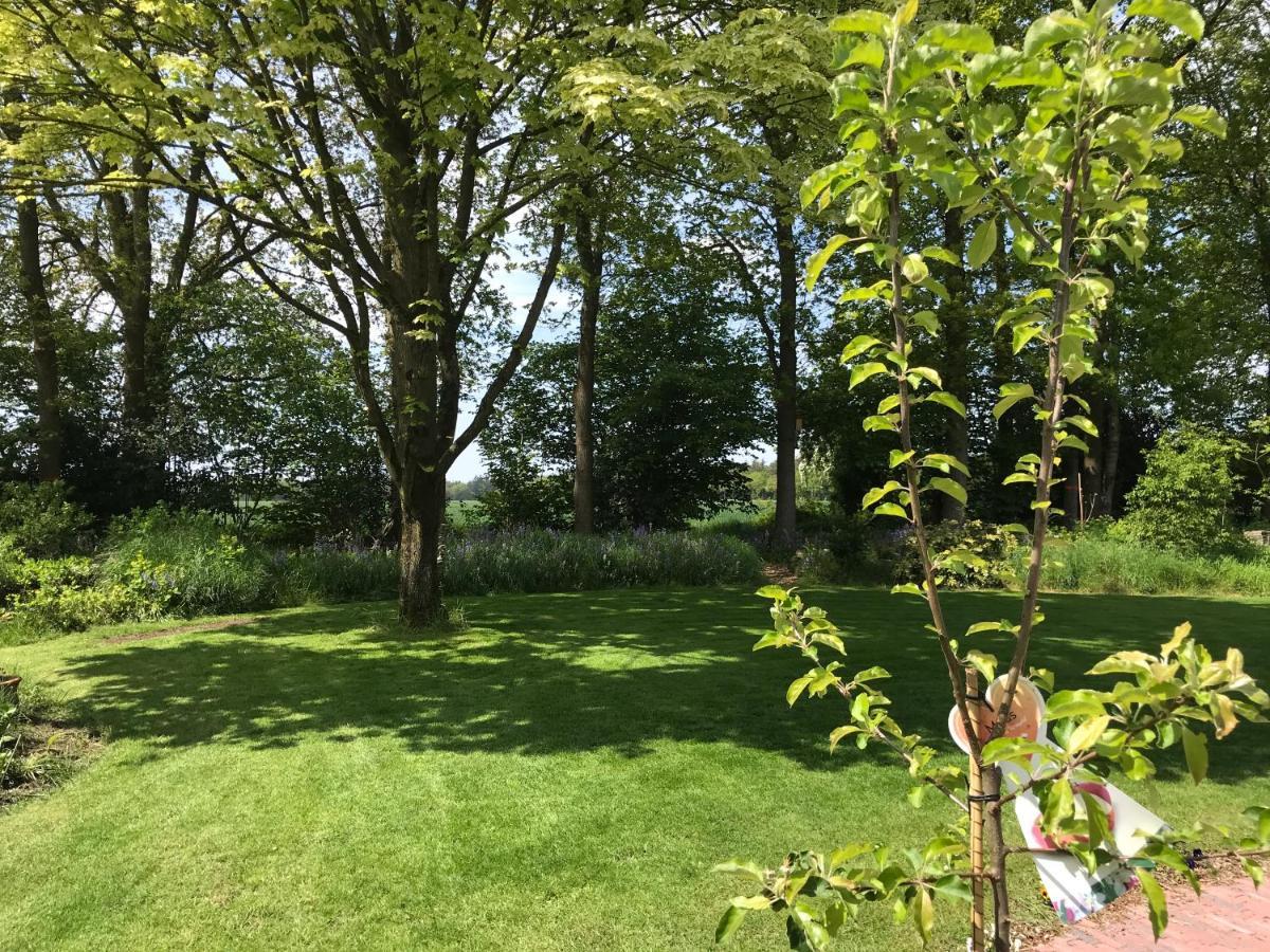 Het Uilennest Bed and Breakfast Exloo Eksteriør billede